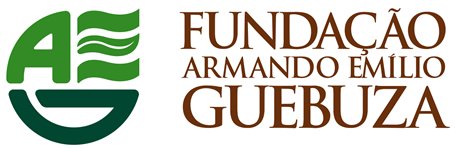 Fundação Armando Emílio Guebuza